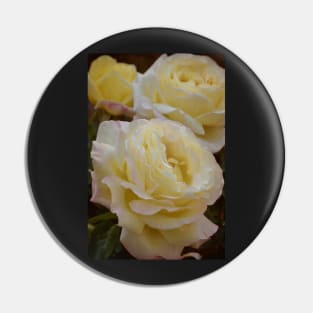 Rose 313 Pin