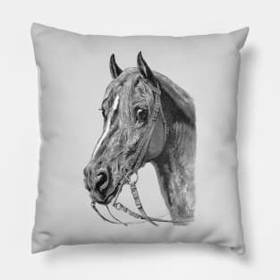 Horse Head Drawing Pillow