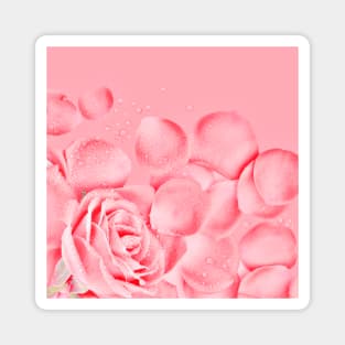 Rose Flower Petals Magnet