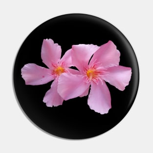 unique pink blooming flowers, blooms, flower, petals Pin