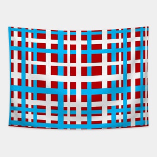 Interlocking Stripes White Red Light Blue Tapestry