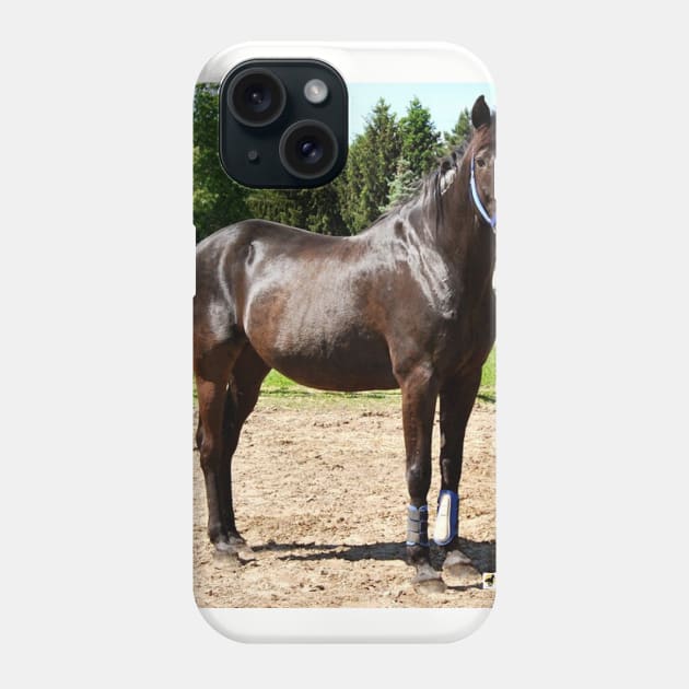 Russ Phone Case by SunshineHorses