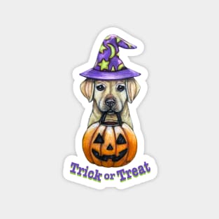 Trick or Treat Pup Magnet