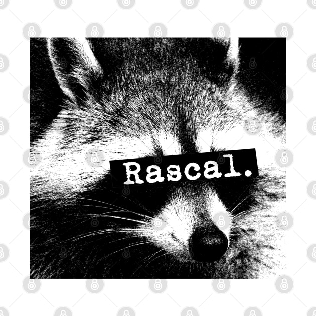 Raccoon Rascal by giovanniiiii