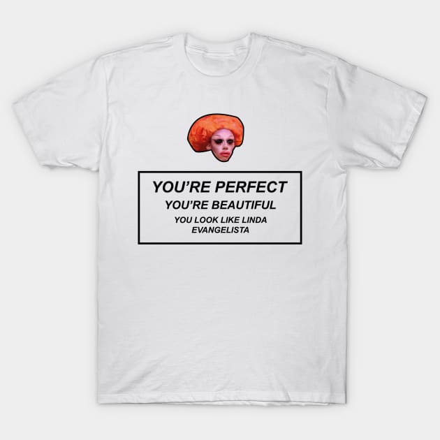 You're Perfect, You're Beautiful.. Drag Race T-Shirt You're Perfect, You're Beautiful.. Drag Race T-Shirt
