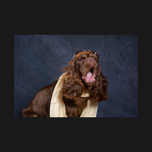 Sussex Spaniel Aviator by SMiddlebrook