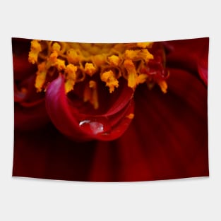 Dew drop dahlia Tapestry