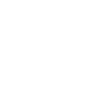 Crown Heights Brooklyn Magnet