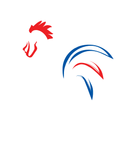 World Cup Champions France Soccer Football 2018 Allez Les Bleus Magnet