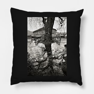 Back to my roots Pillow