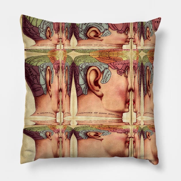 Pseudoscience Pillow by smoocherz1