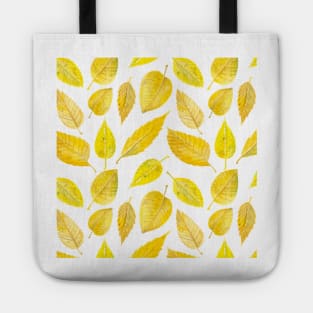 Autumn leaves Tote