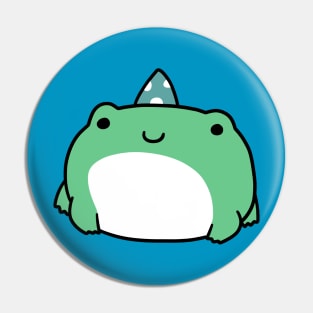 Party Hat Frog Pin