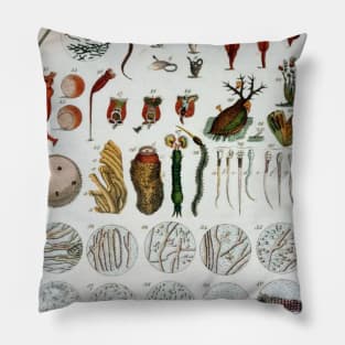 Micro Biology Life Vintage Poster Pillow