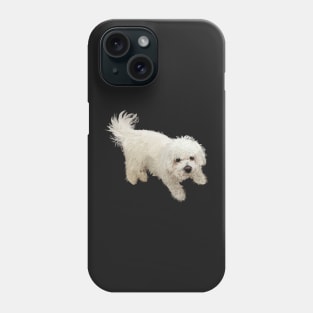 Bichon Frise Dog Phone Case