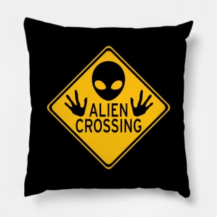 Alien Crossing Pillow