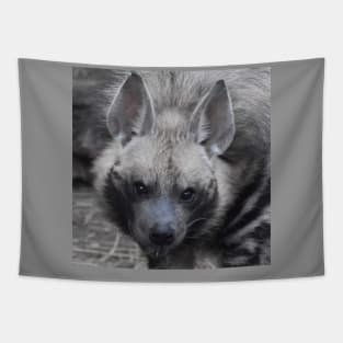 Striped Hyena Tapestry