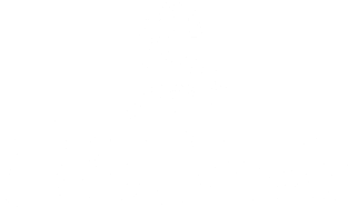 Old Snake Deodorant Magnet