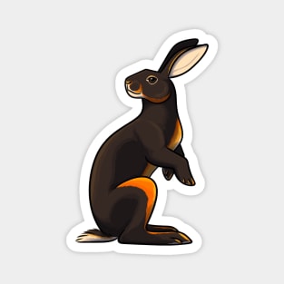 Belgian Hare Magnet