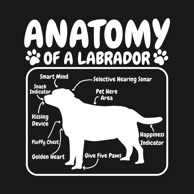 Labrador Dog Anatomy by CreativeGiftShop