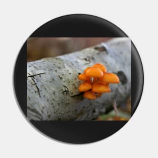 Orange Fungus Pin