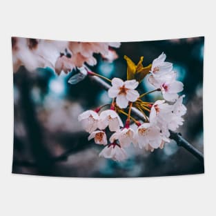 Cherry Blossoms Photograph Tapestry