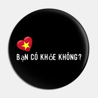 Vietnamese Bạn có khỏe không? Pin