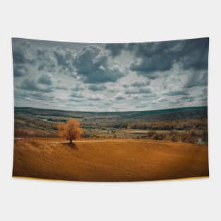 Picturesque autumnal landscape Tapestry