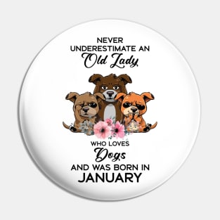 Never Underestimate An Old Woman Who Loves Cats And Was Born In January Pin