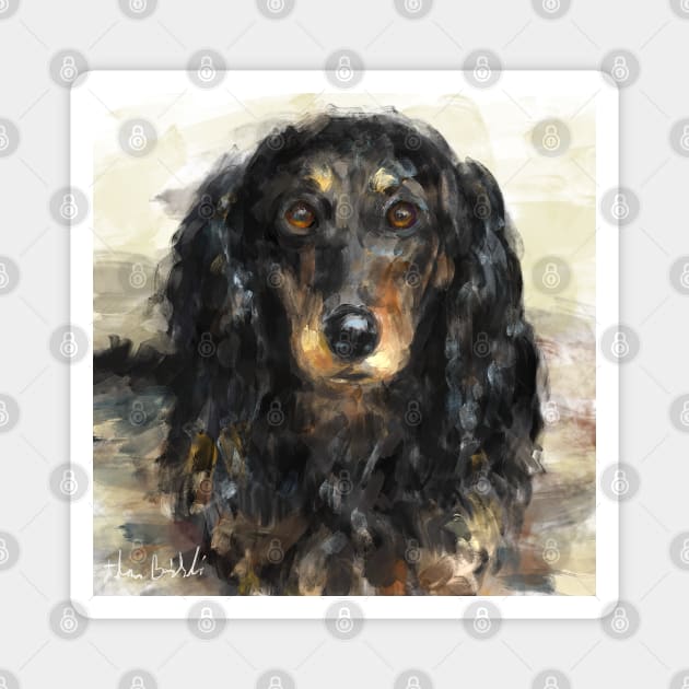 A Beautiful Artistic Painting of a Dachshund Magnet by ibadishi