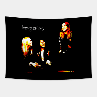 Boygenius-Cover Album Re-Design Tapestry