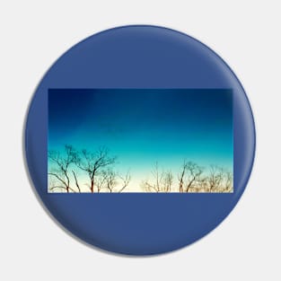 Leafless Tree Ombre Sky Pin