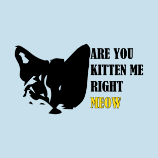 Are You Kitten Me Right Meow T-Shirt