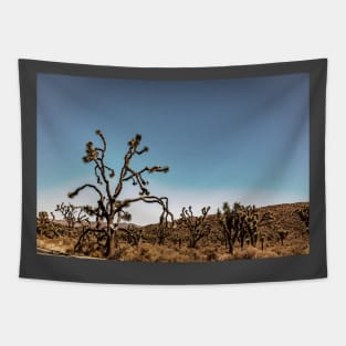 Joshua Tree National Park, California Tapestry