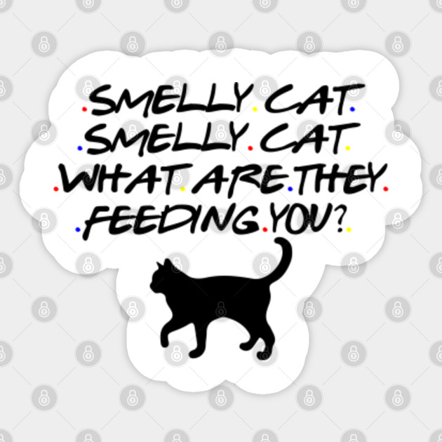 Smelly Cat What Are They Feeding You Friends Tv Show Friends