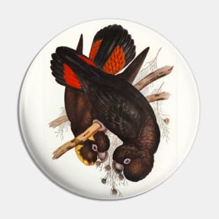 Leach's Cockatoo Pin