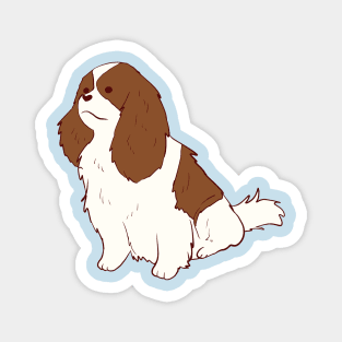 King charles spaniel dog sitting Magnet