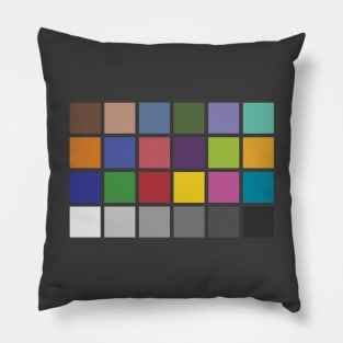 Get the Color Balance Right Pillow