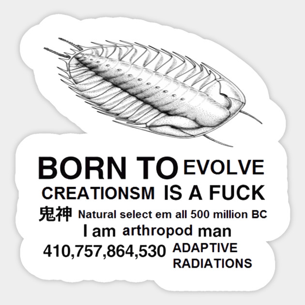 Born To Evolve Born To Die World A Fuck Sticker Teepublic
