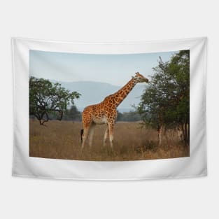 Rothschild's Giraffe Feeding, Lake Nakuru, Kenya Tapestry