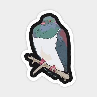 Hand Drawn New Zealand Wood Pigeon Bird Magnet