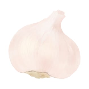 Garlic T-Shirt