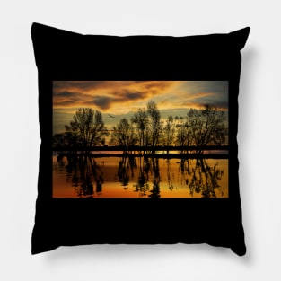 Golden Sunset Pillow