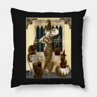 Dress Up Witch Pillow