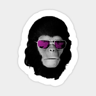 Cool monkey Cornelius in shades Magnet