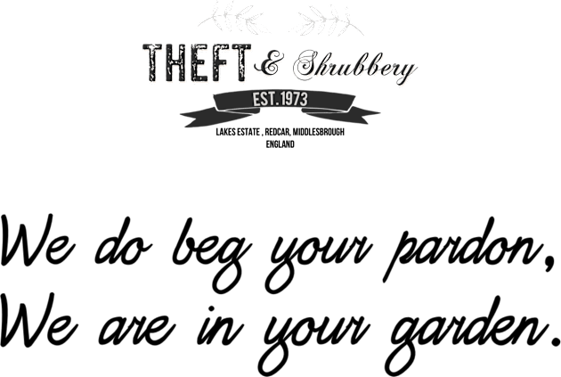 Theft and Shrubbery chant 3 Kids T-Shirt by Dpe1974