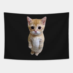 funny meh cat Tapestry