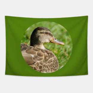 Female Mallard in the Grass Photograph Tapestry