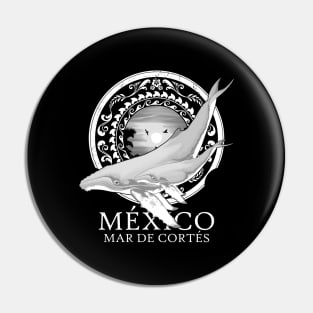 Humpback whales Mexico Sea of Cortez Pin