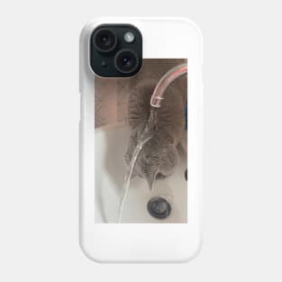 Waterproof Cat (no text) Phone Case